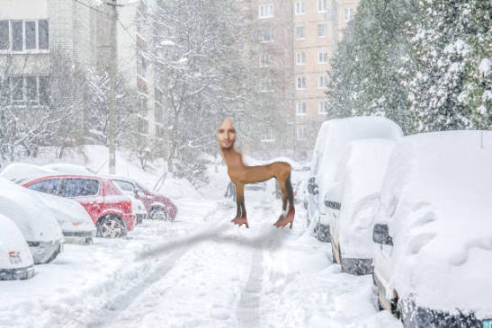 Snow Trotter